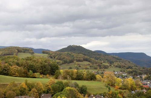 Duplex vue sur les montagnes - Orbey - Foto 25
