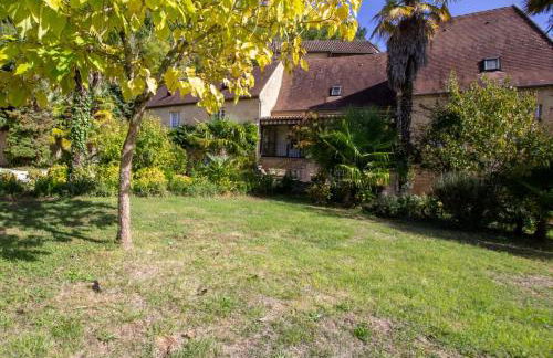 Les palmiers - Foto 19