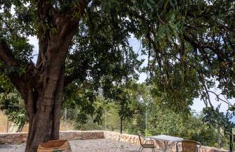 Popi s house - Photo 63