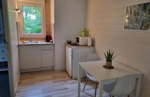 Les Chalets de SAUMUR, Piscine & Parc boisé, 100m du CadreNoir - Foto 64