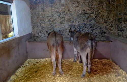 Casa antigua - Foto 32