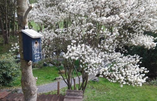 Seebach Vermietung - Foto 15