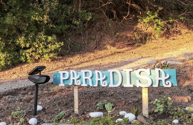 La Paradisa - Foto 27