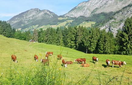 Appartement lumineux à La Chapelle-d'Abondance, vue montagne. - Foto 16