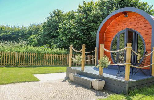 Filbert Pod - Foto 1