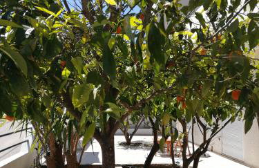 Rhodes Paulsia Cosy Apartments - Foto 58