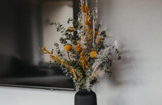 Schwarzwald Loft Panoramablick Menzenschwand - Foto 21