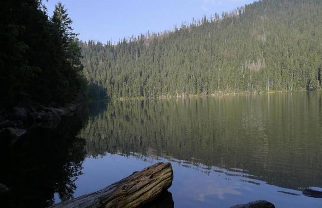 Ferienwohnung im Bayerischen Wald mit Sauna - Foto 36