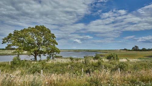 Reetdorf Geltinger Birk Atelierhaus Schilfgras - Foto 3