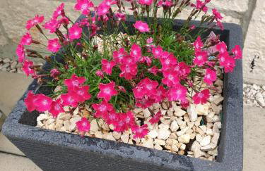 Waterview Apartments w pool - Photo 42