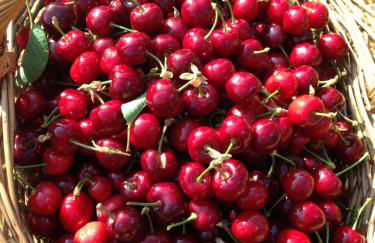 Mas de Leon - Foto 134