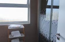 Flor da Natureza - Natureza - Photo 8