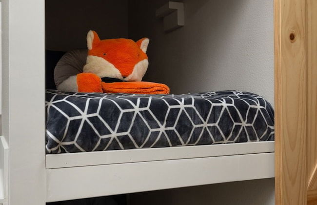 The Snuggly Otter - Foto 26