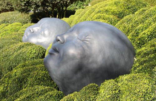 La lisette - Foto 41