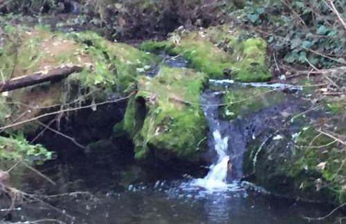 Chalet con piscina en la naturaleza - Foto 29