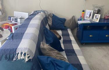 Monte das Oliveiras - Foto 20