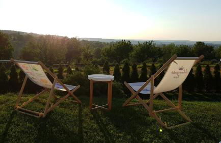 Apartments Metzingen Panoramablick - Foto 76