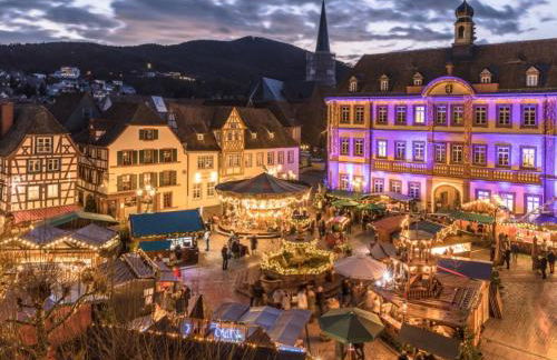 Pfälzer Herzel mit 2 Schlafzimmern und Blick über die Rheinebene kostenfreiem Parkplatz und Wlan fußläufig zum Wald und den Weinbergen Weinkühlschrank Brötchenservice Garten mit Gasgrill - Foto 39