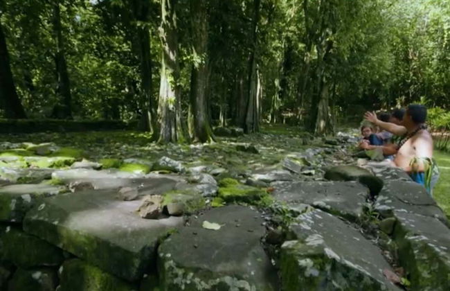 Mo'orea Private Tour - Photo 3