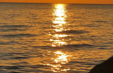 Apartman Lili - Photo 6