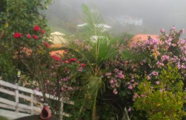 Casa de Campo em Teresópolis - Foto 23