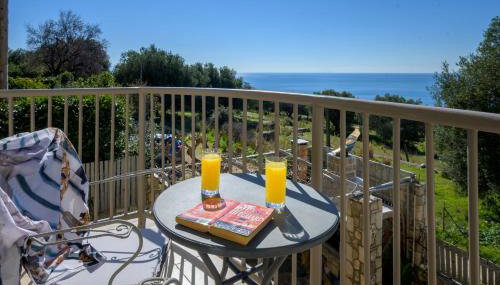Nikos & Vassilis apartments Kefalonia - Foto 4