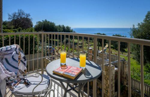 Nikos & Vassilis apartments Kefalonia - Foto 4