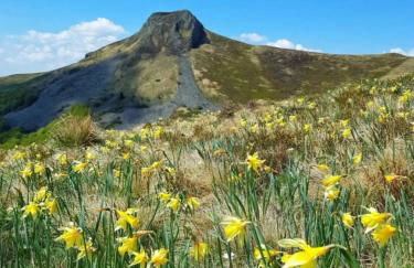 Chalet avec Vue à Murat-le-Quaire - 120 m² - Foto 39