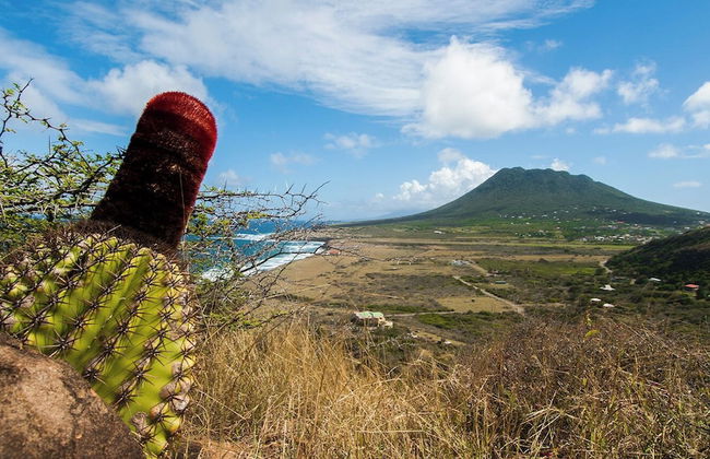 Whale Tails Hotel - Foto 66