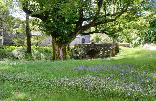 Rhoda's Cottage - Foto 11