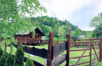 Gumisiówka - Foto 20