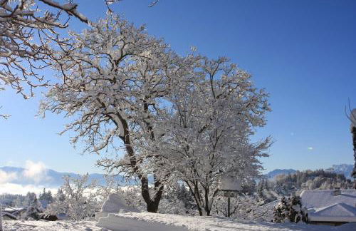 Cortalta Mountain Lodge - Foto 29