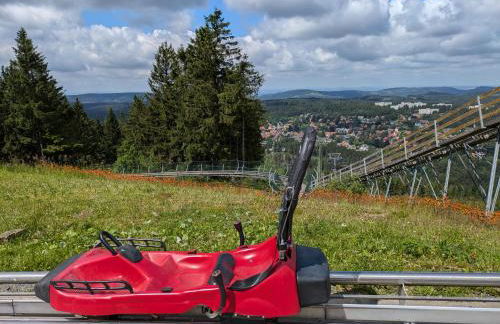 FeWo Waldseeblick Hahnenklee - Foto 19