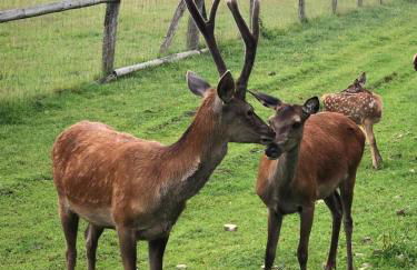 Zur-kleinen-Auszeit - Foto 19