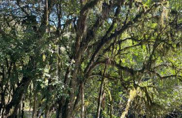 Memora Guesthouse Bateias - Casa Inteira e quartos em chácara - Foto 74