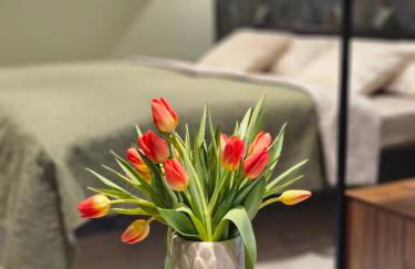 Apartment Tomm by Europa-Park & Rulantica - Photo 1