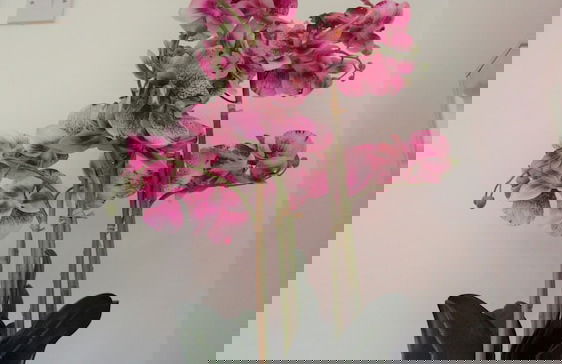 The Coach House - Foto 7