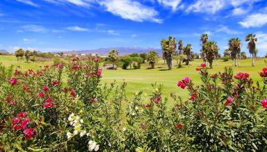 El Dorado Sun Las Américas by Vapagó Tenerife - Foto 2