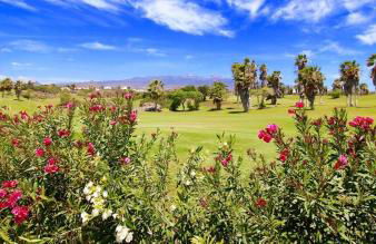 El Dorado Sun Las Américas by Vapagó Tenerife - Foto 2