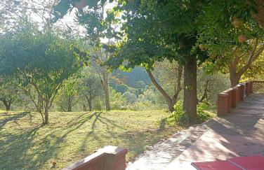 Podere Il Cardellino - Photo 20