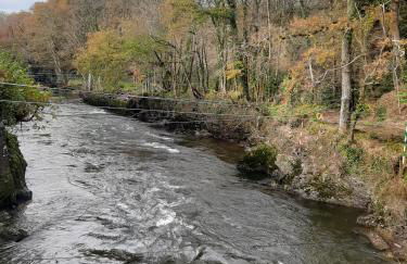 Selah Teifi spectacular river view with games room - Photo 13