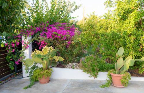 Luxury Suites in Stavromenos - Photo 34