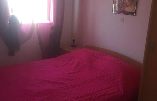 Apartments Lile - Photo 14