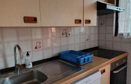 La terraza del Naranco - 3 habitaciones , PARKING y WIFI free - Foto 3