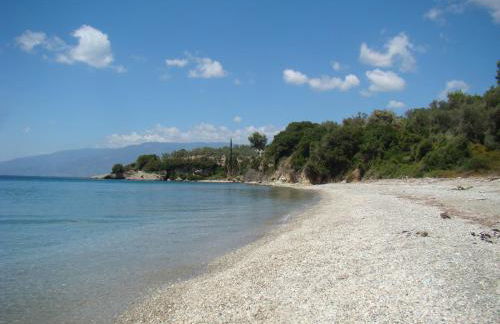 Kalama Apartments - Foto 61