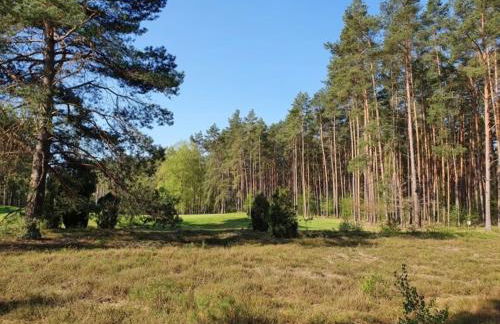 Traumhaftes Reetdachhaus "Grote Eken" in der Lüneburger Heide - Foto 42
