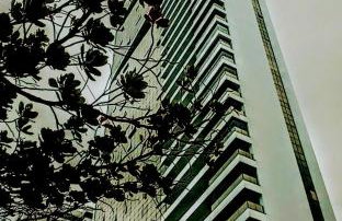 Vivance Paiva - Foto 10