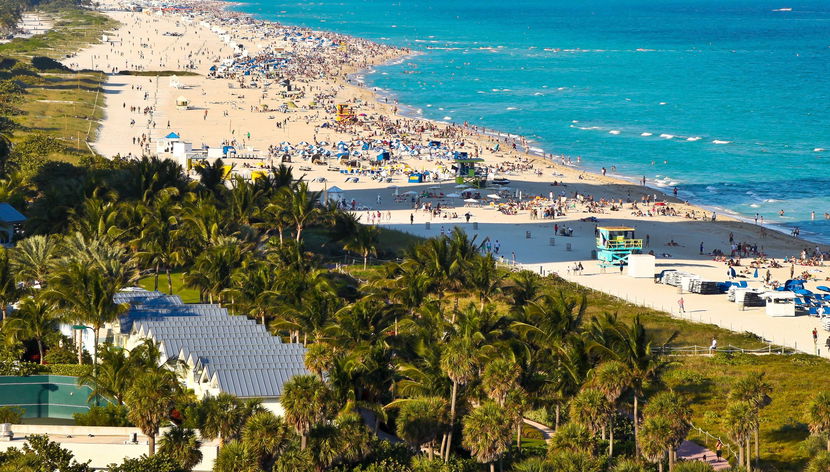 Offre : Visite de Miami + Everglades