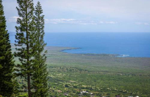 Hale Mauka - Foto 16