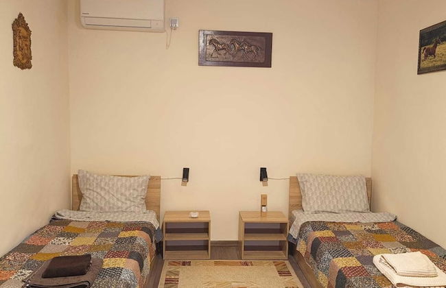 ESCUS HORSES - Foto 4